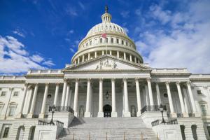 Poll: Democratic voters want their congressional leaders to fight Trump more