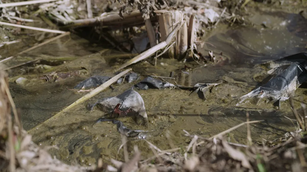 smelly ditch water