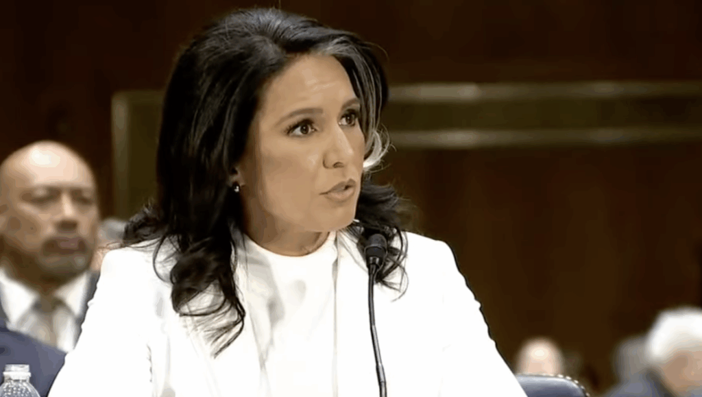 Gabbard: Obama conspired to 'usurp' Trump's 2016 election mandate
