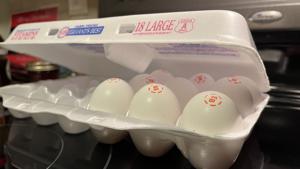Trump touts June jobs report, lower gas, egg prices