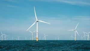 Trump administration pauses all offshore wind projects for security