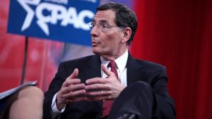 Barrasso: Senate Dems have 'blood on their hands' for DHS shutdown